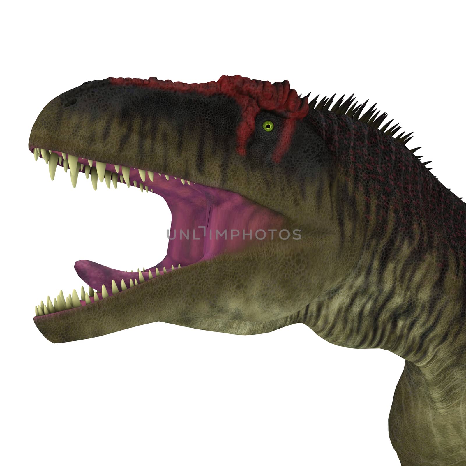 Tyrannotitan Dinosaur Head by Catmando