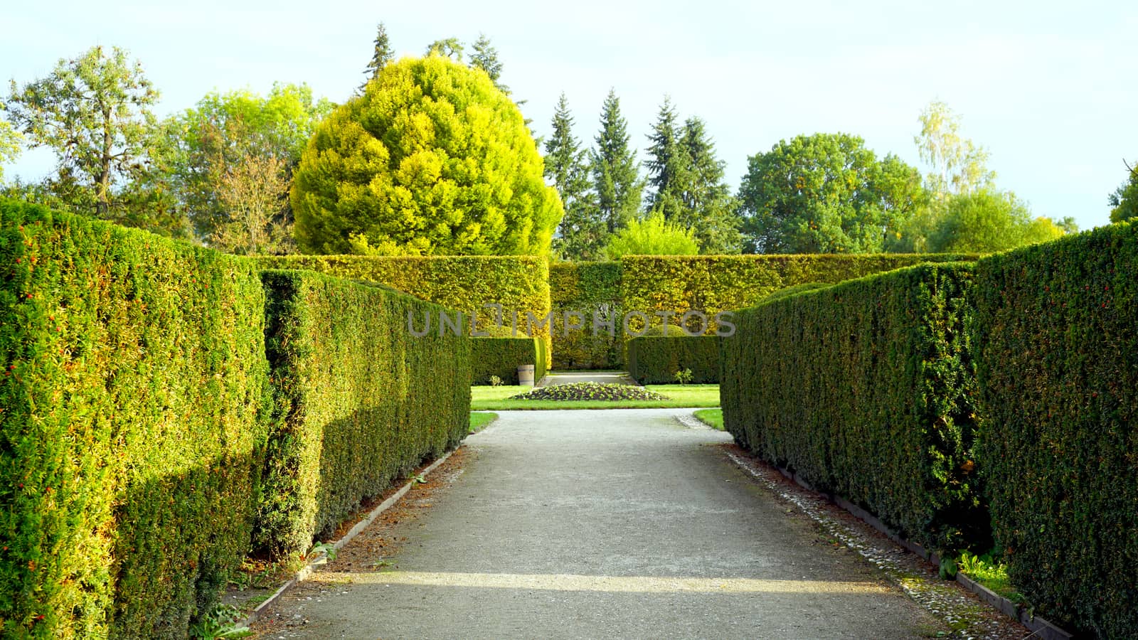 formal garden in the park of castle by polarbearstudio