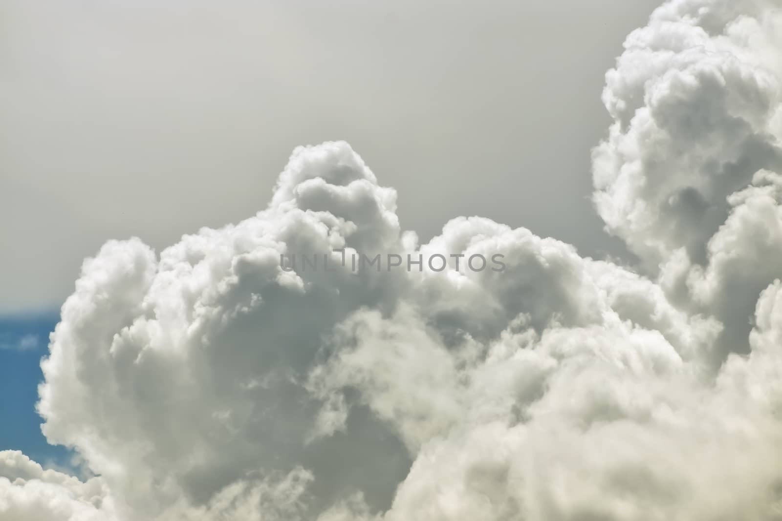 White cloud close up in sky for background