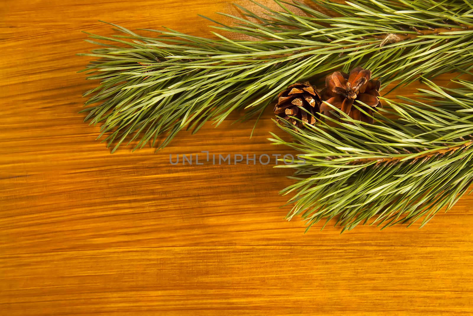 New Year composition with fir cones and fir tree branch on woode by RawGroup