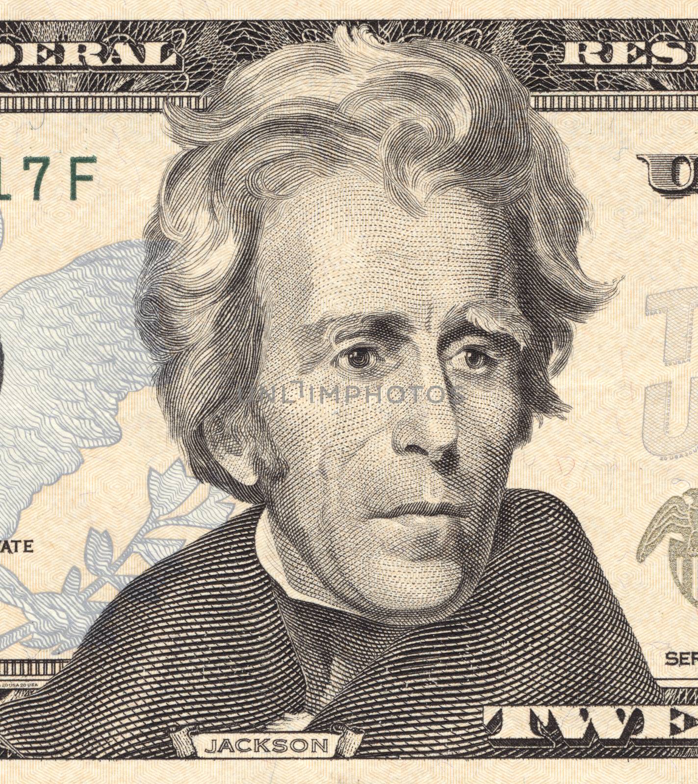 Andrew Jackson as depicted on the US twenty dollar bill. True colours