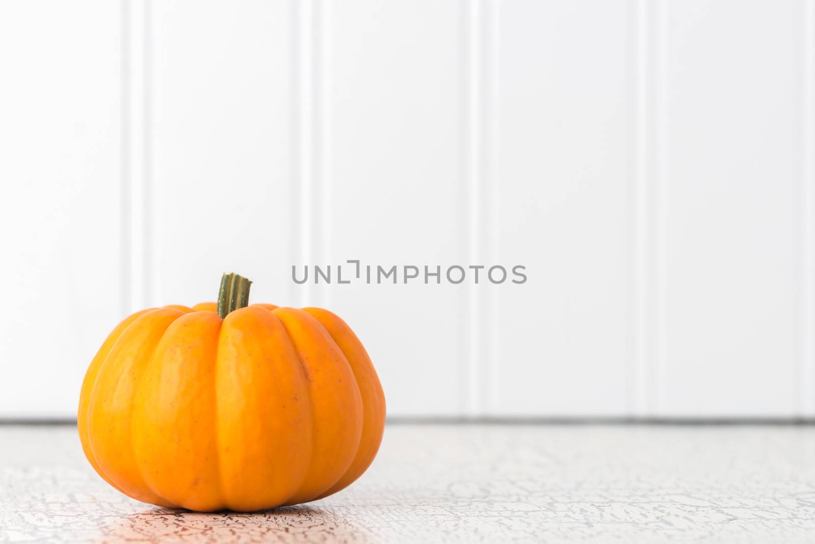 One pumpkin on a plain background with ample copy space.