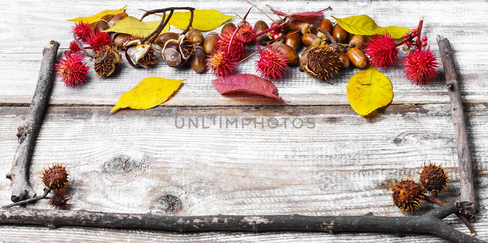 autumn background of leaves and dry branches