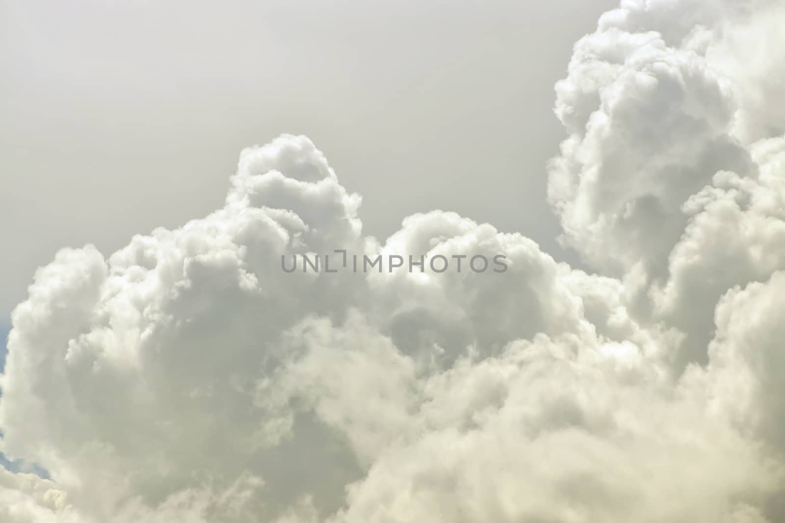 White cloud close up in sky for background