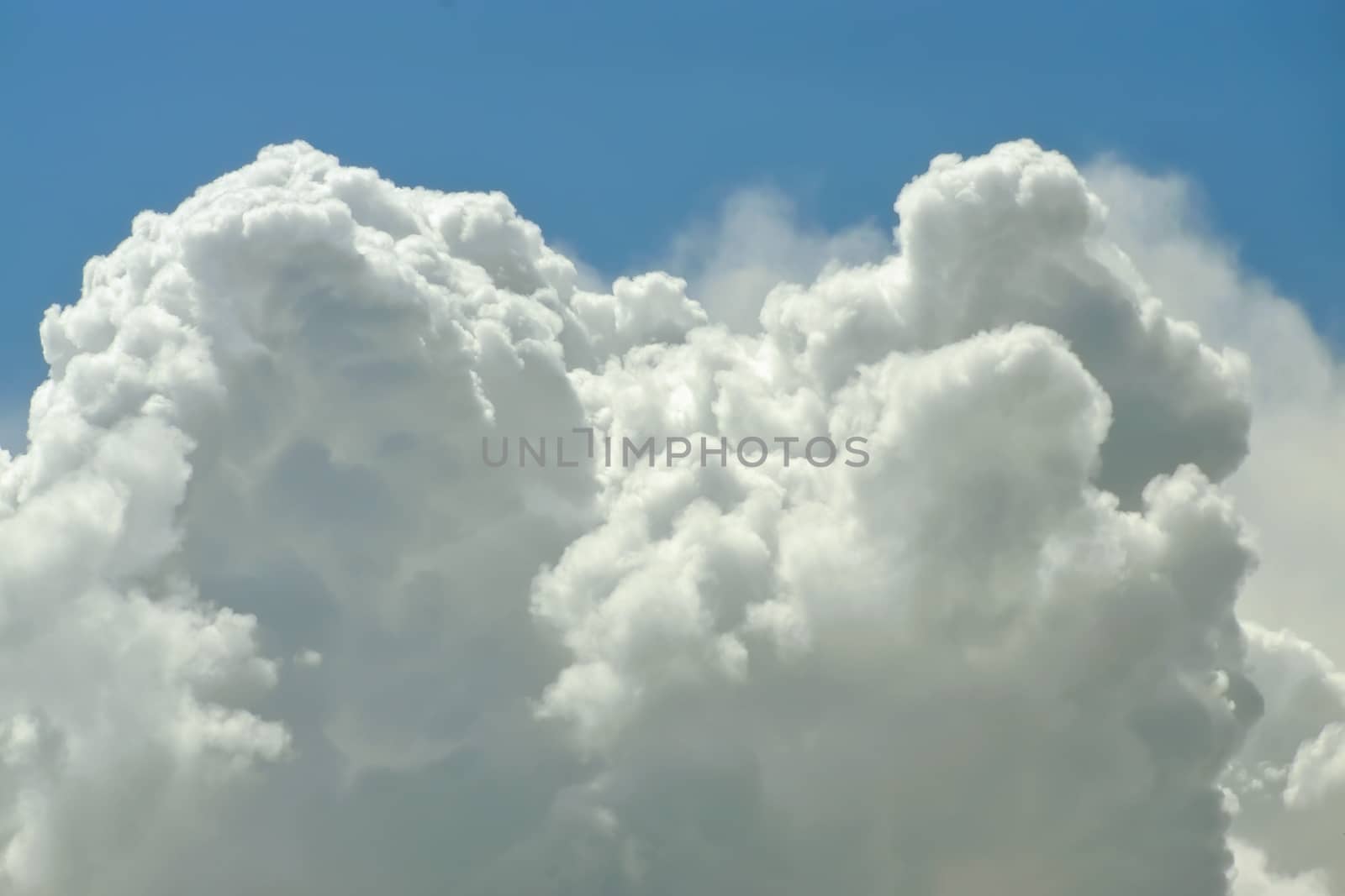 White cloud close up in sky for background