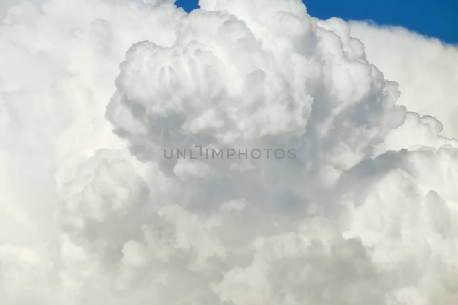 White cloud close up in sky for background