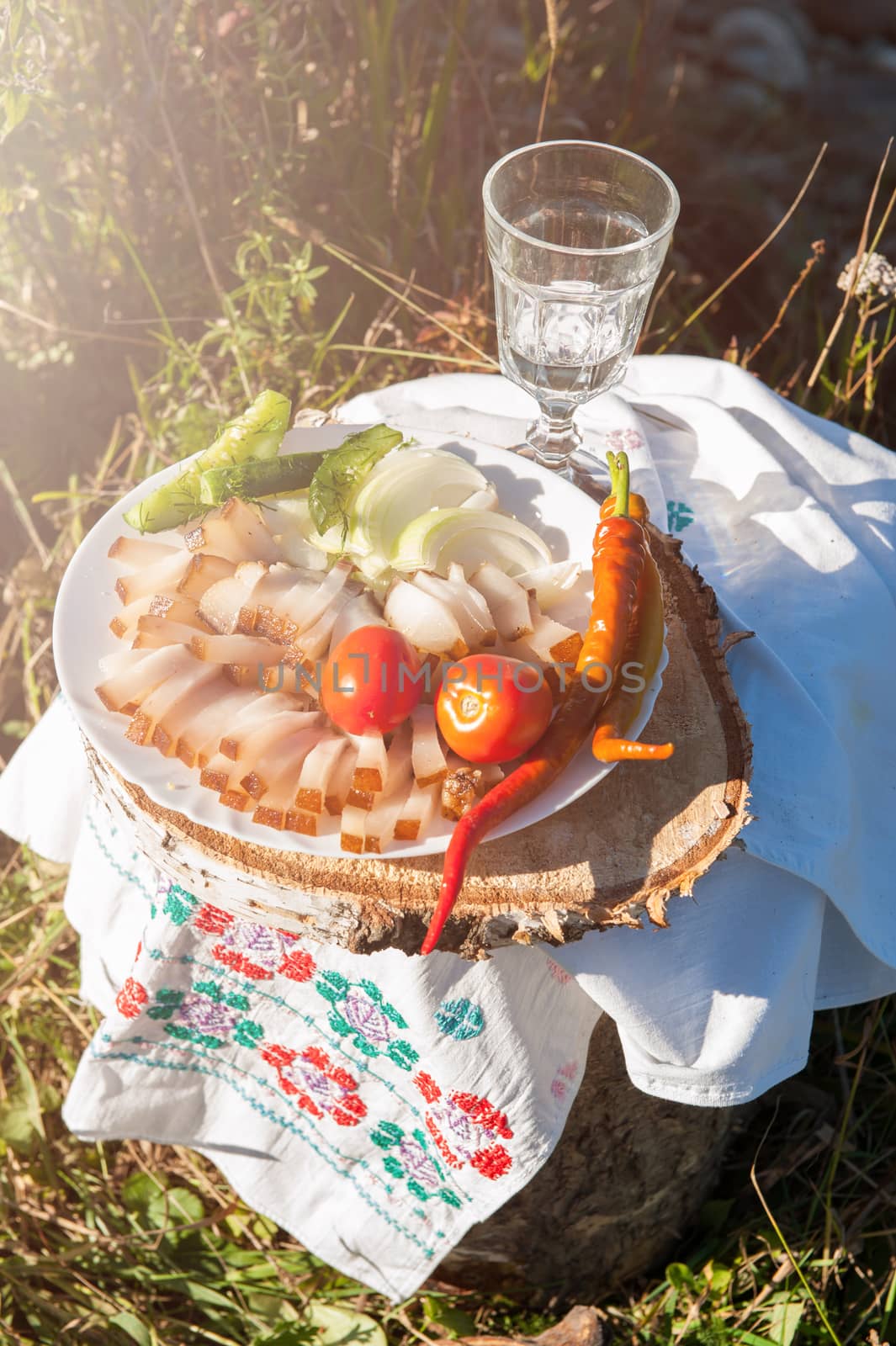 Russian vodka in small glass with snacks at outdoors