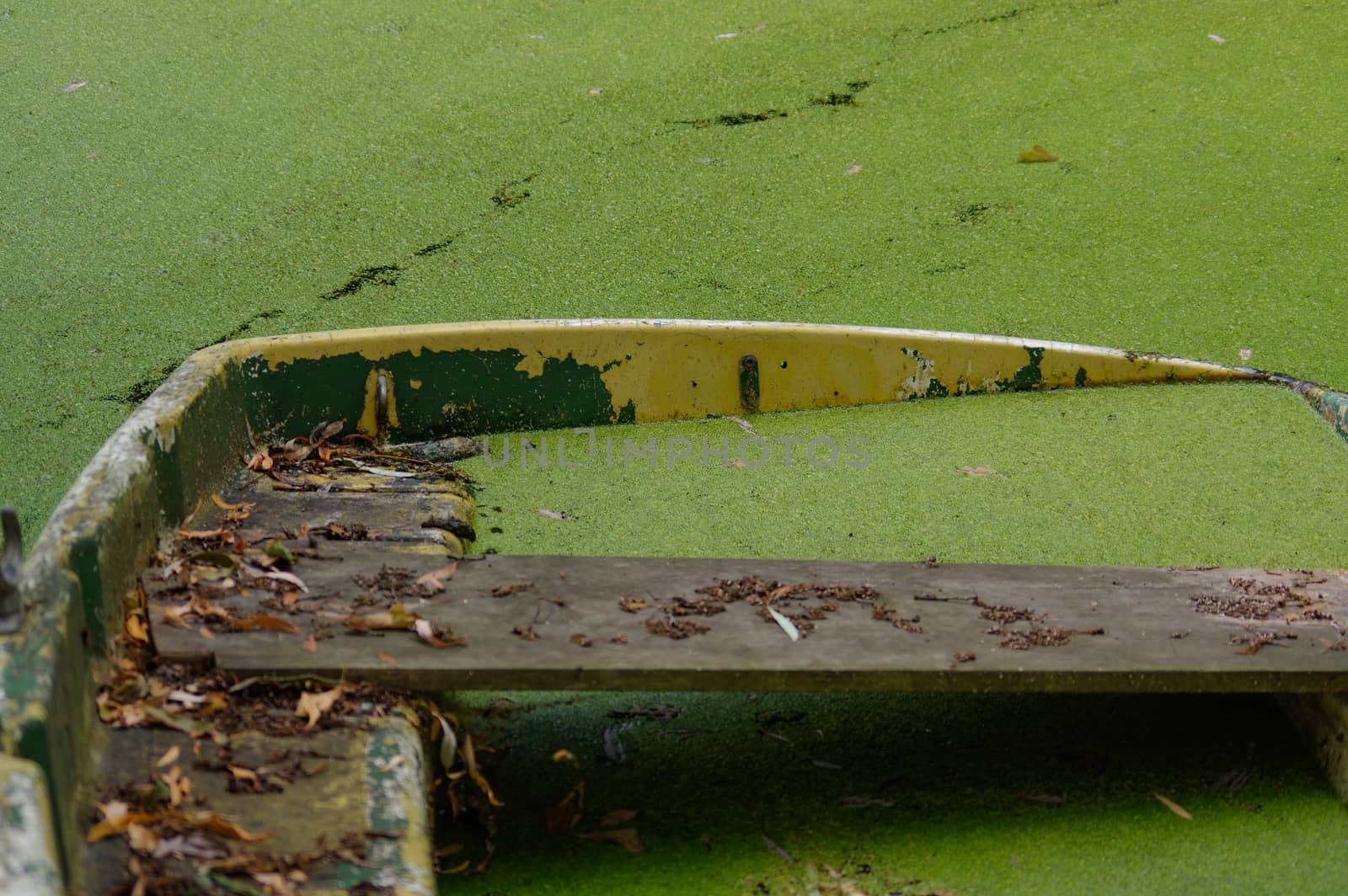 Partially sunken moored iron rowboat with leaves. by evolutionnow