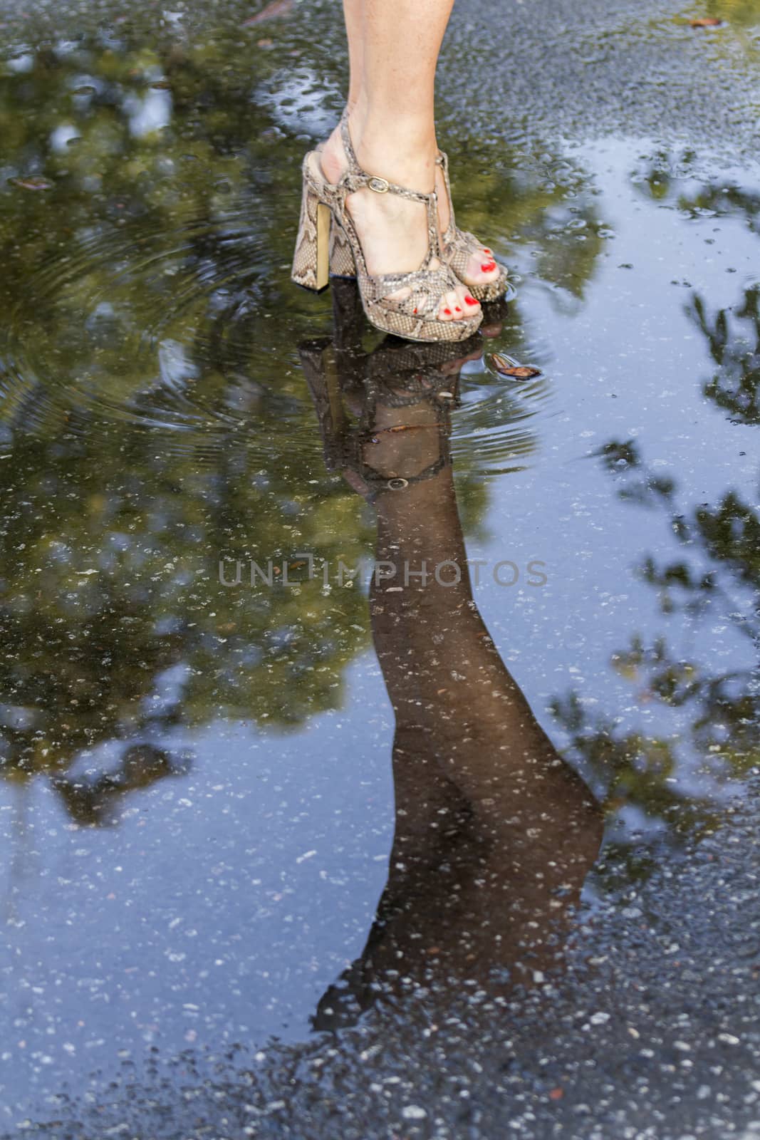 Close-up of women's legs in fashionable shoes and their reflection in a puddle