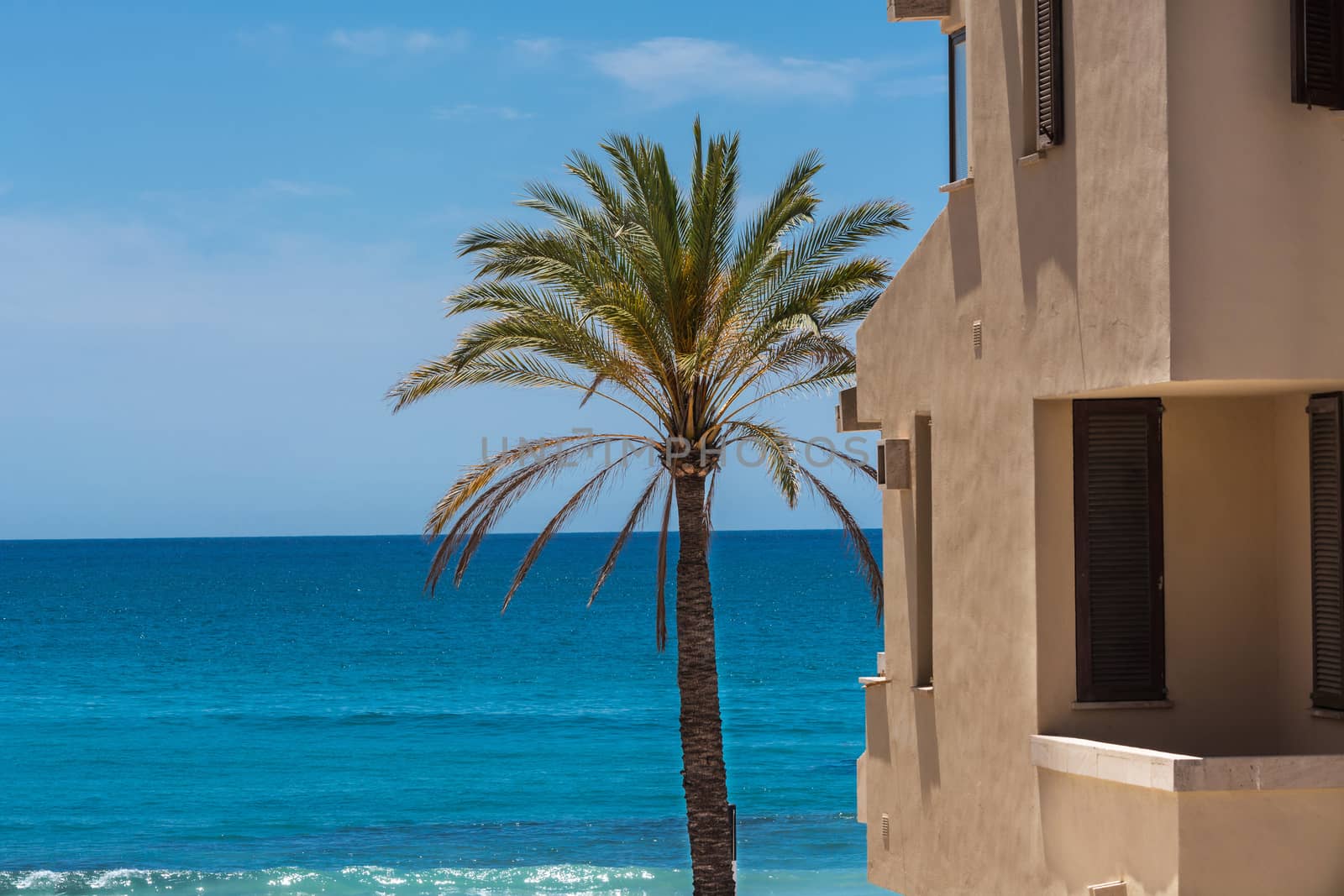 Overlooking the blue sea in the foreground a Spanish style house and a palm tree.