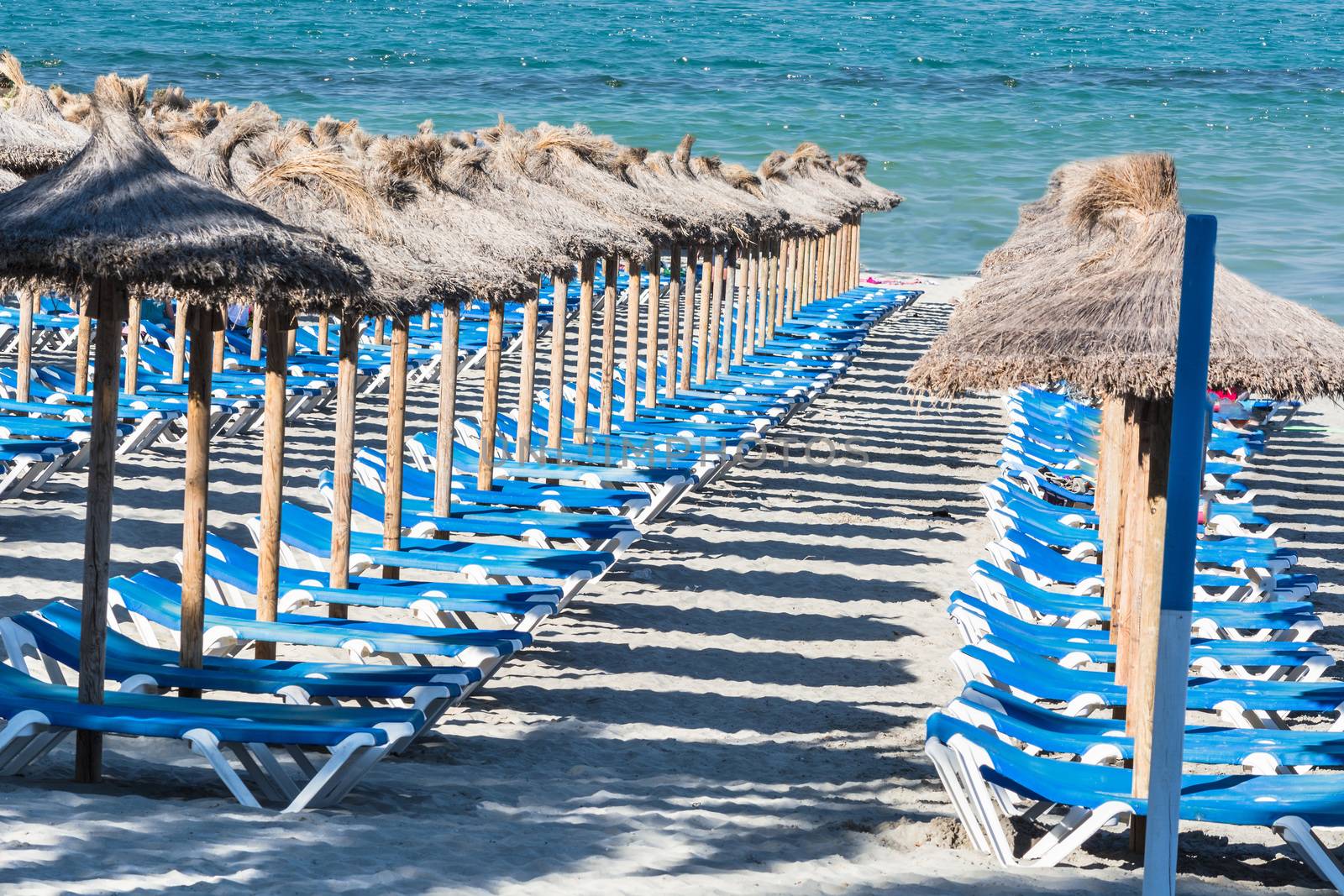 Deckchairs and umbrellas in a row        by JFsPic