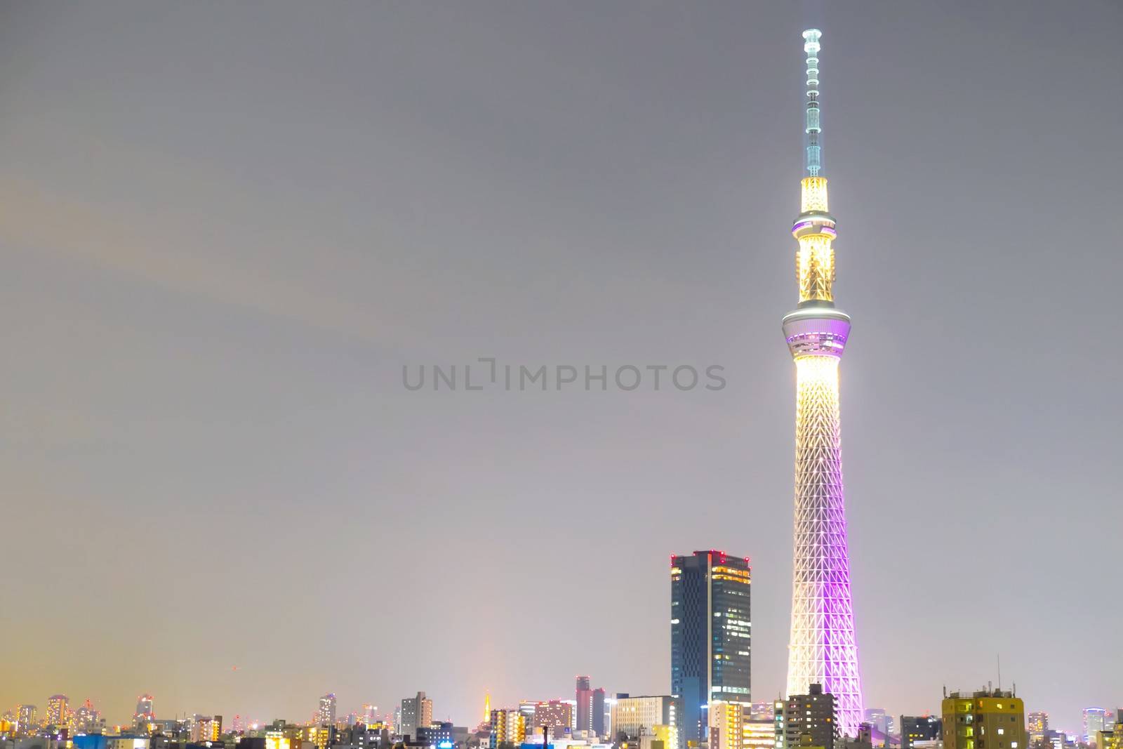 Tokyo sky tree at night