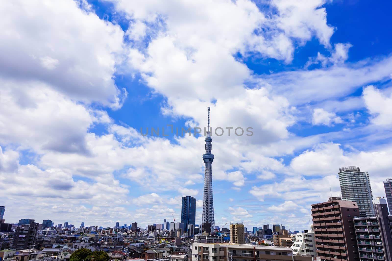 Blue sky and Tokyo sky tree