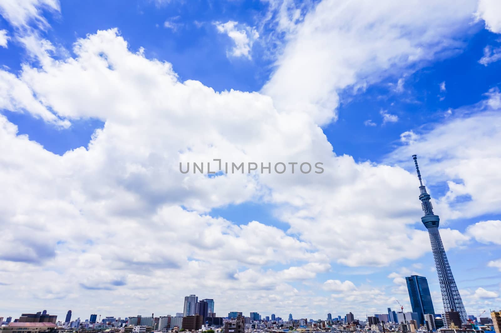 Blue sky and Tokyo sky tree