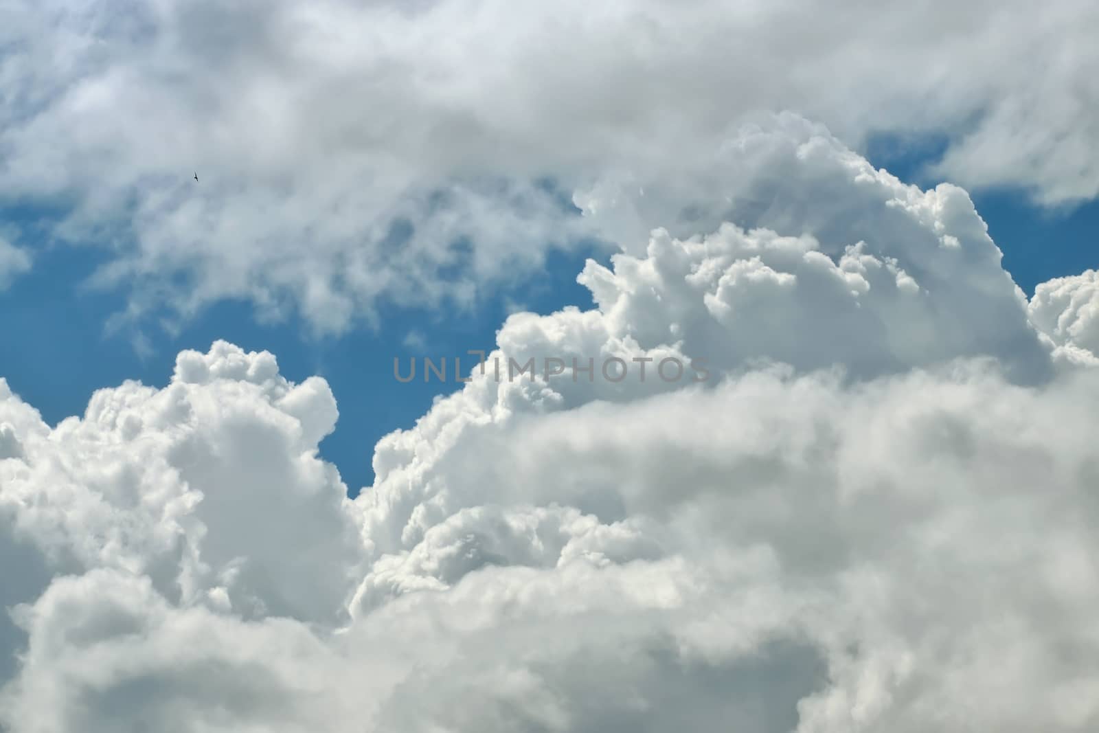 White cloud close up in sky for background