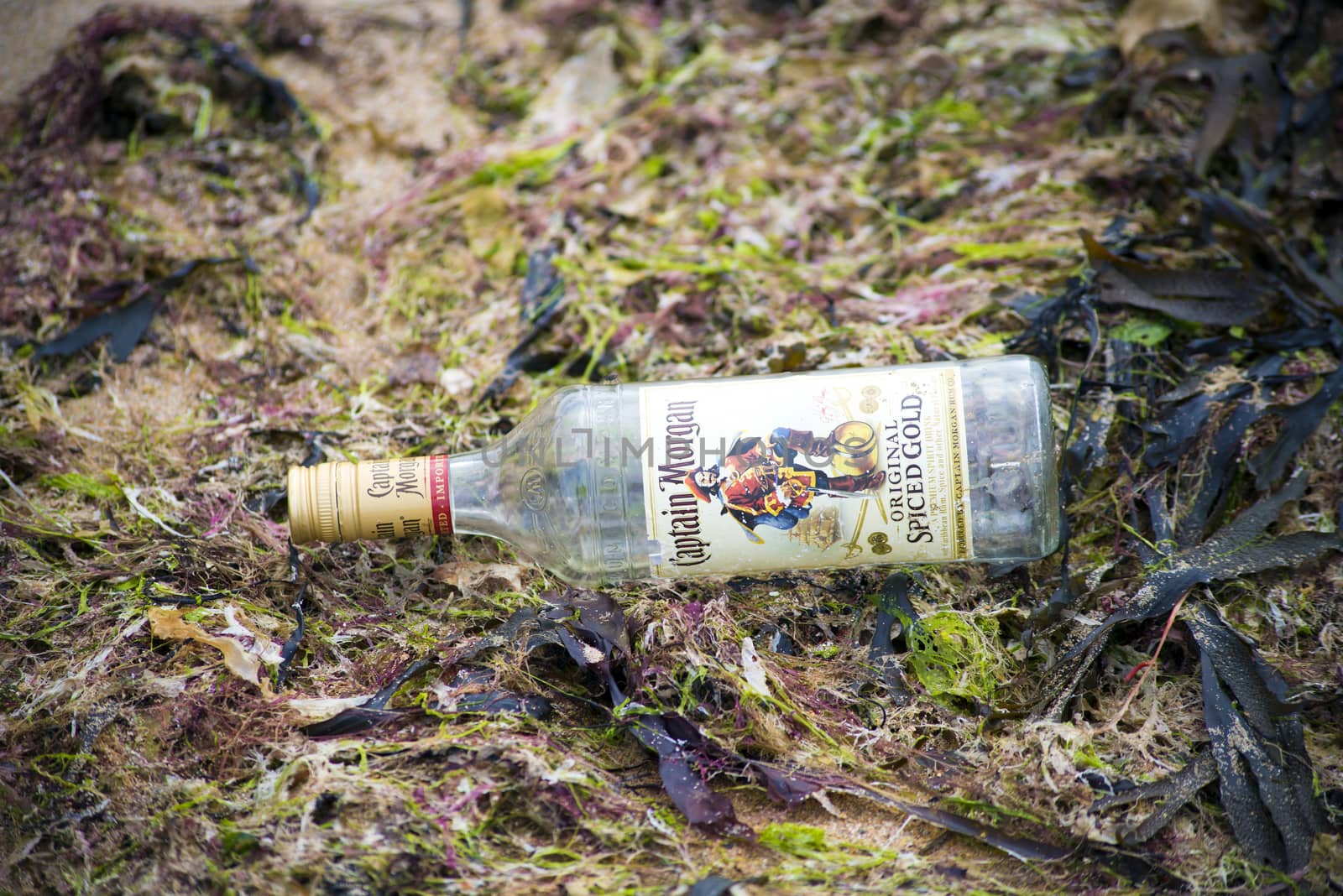 captain morgan bottle washed up on beach full of seaweed