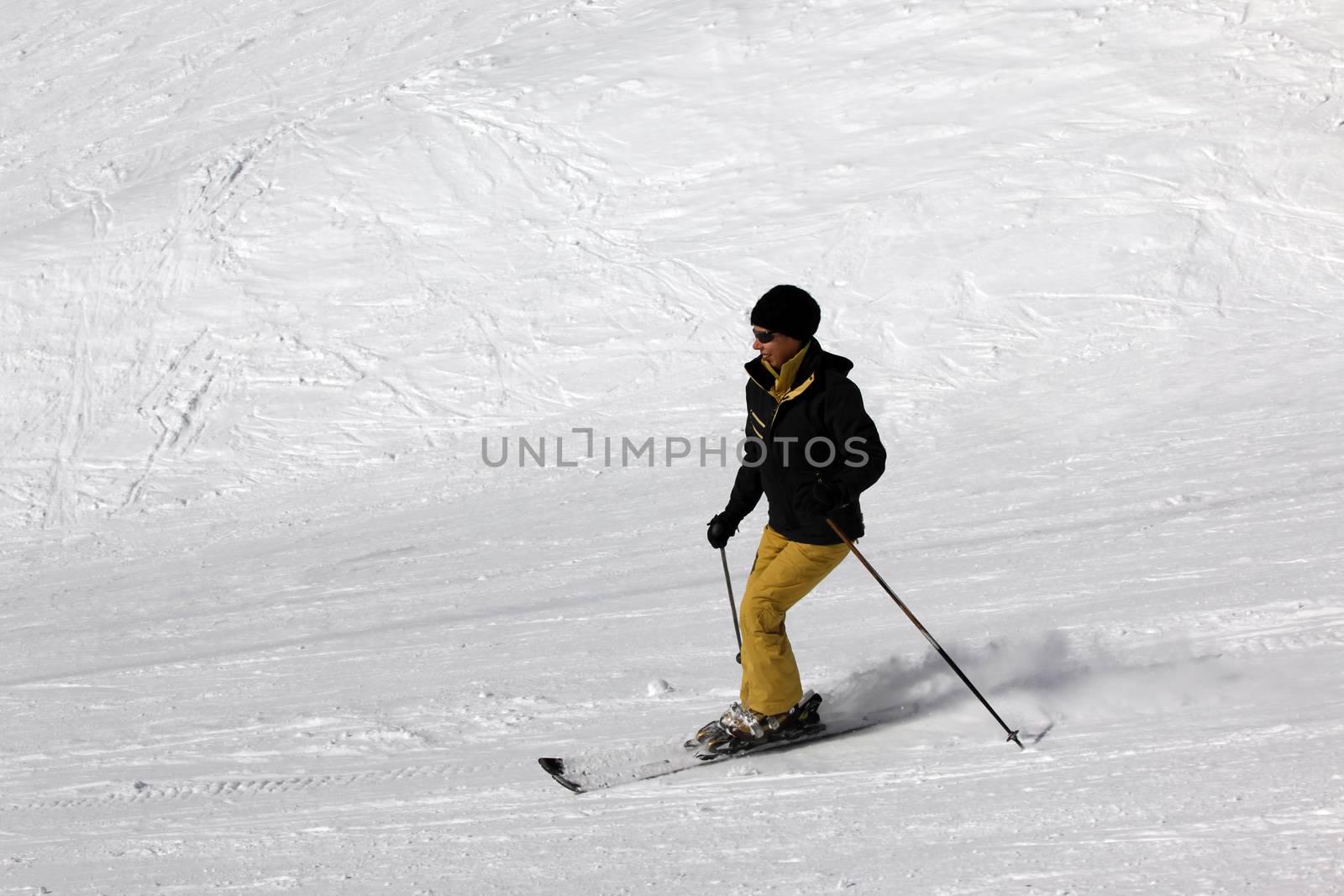 Skier riding fresh powder snow. Europe. Russia. Caucasus.