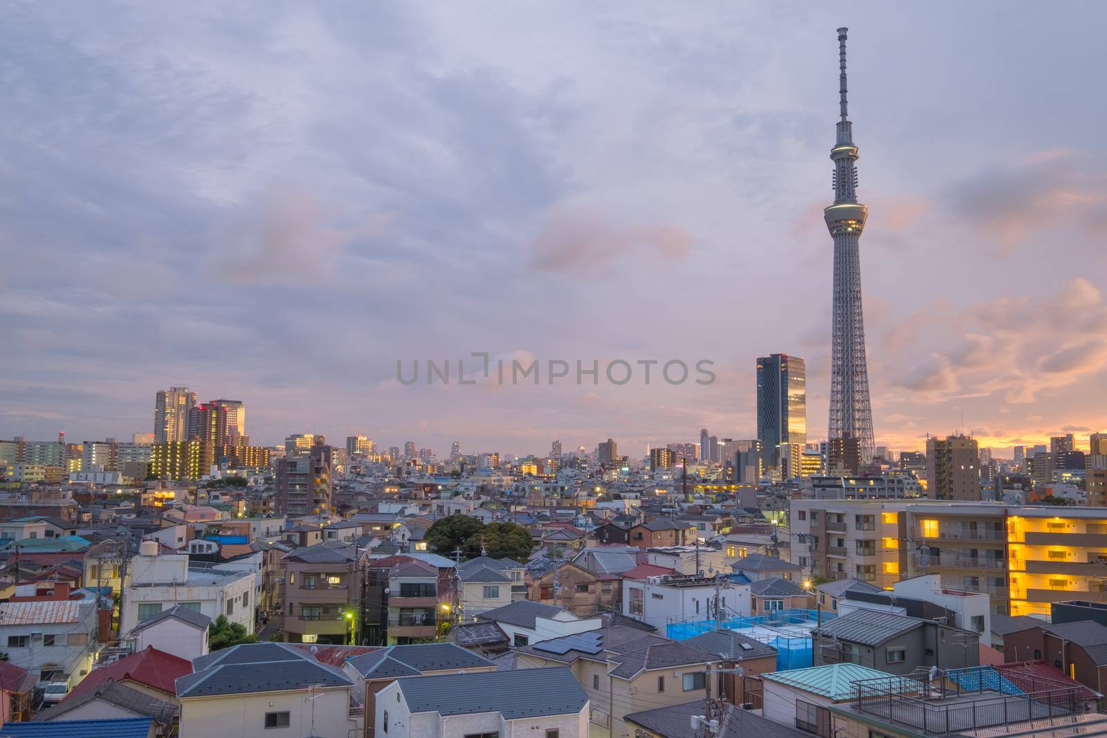 Tokyo sky tree at sunset time