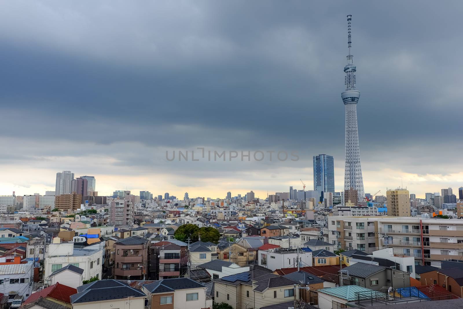 Tokyo sky tree on dark sky