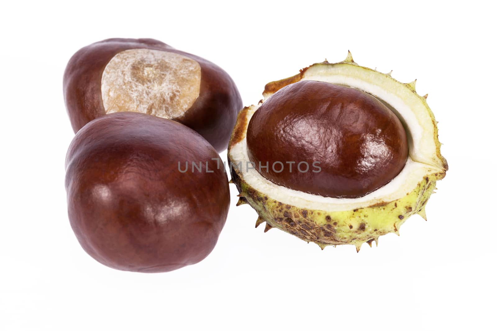Fruits of chestnuts in green shell isolated on white background by mychadre77