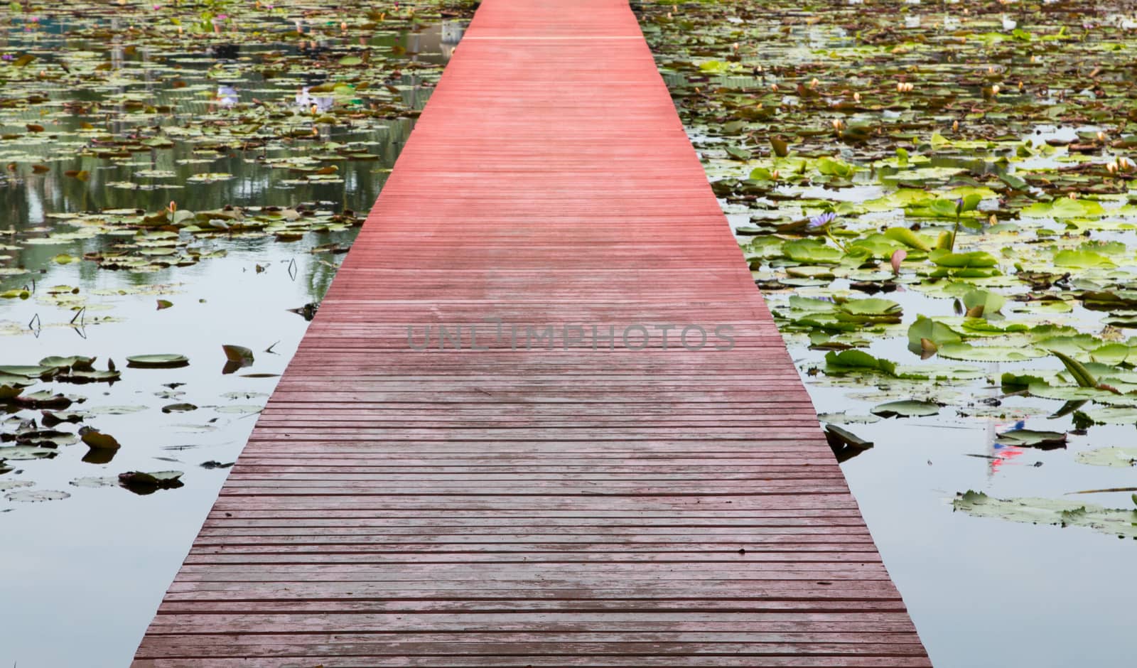 Wooden walkway over the river