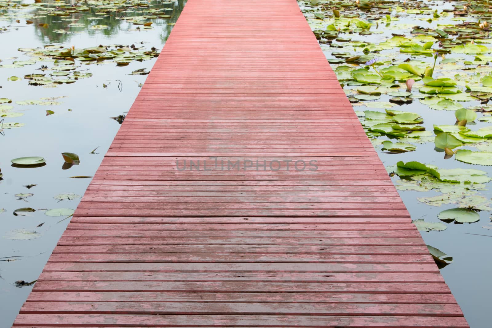 Wooden walkway over the river