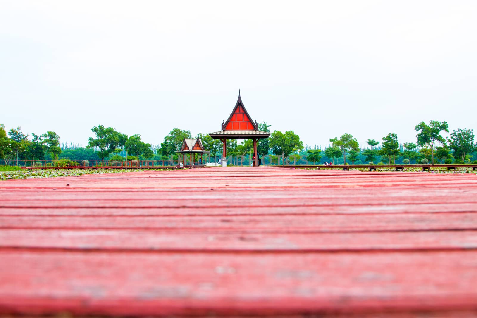 Wooden walkway over the river