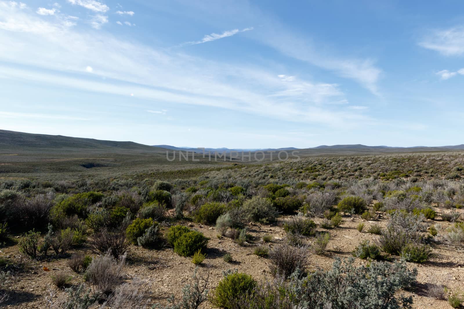 Fields of green with Clouds pointing to the endless wonder of Tankwa Karoo