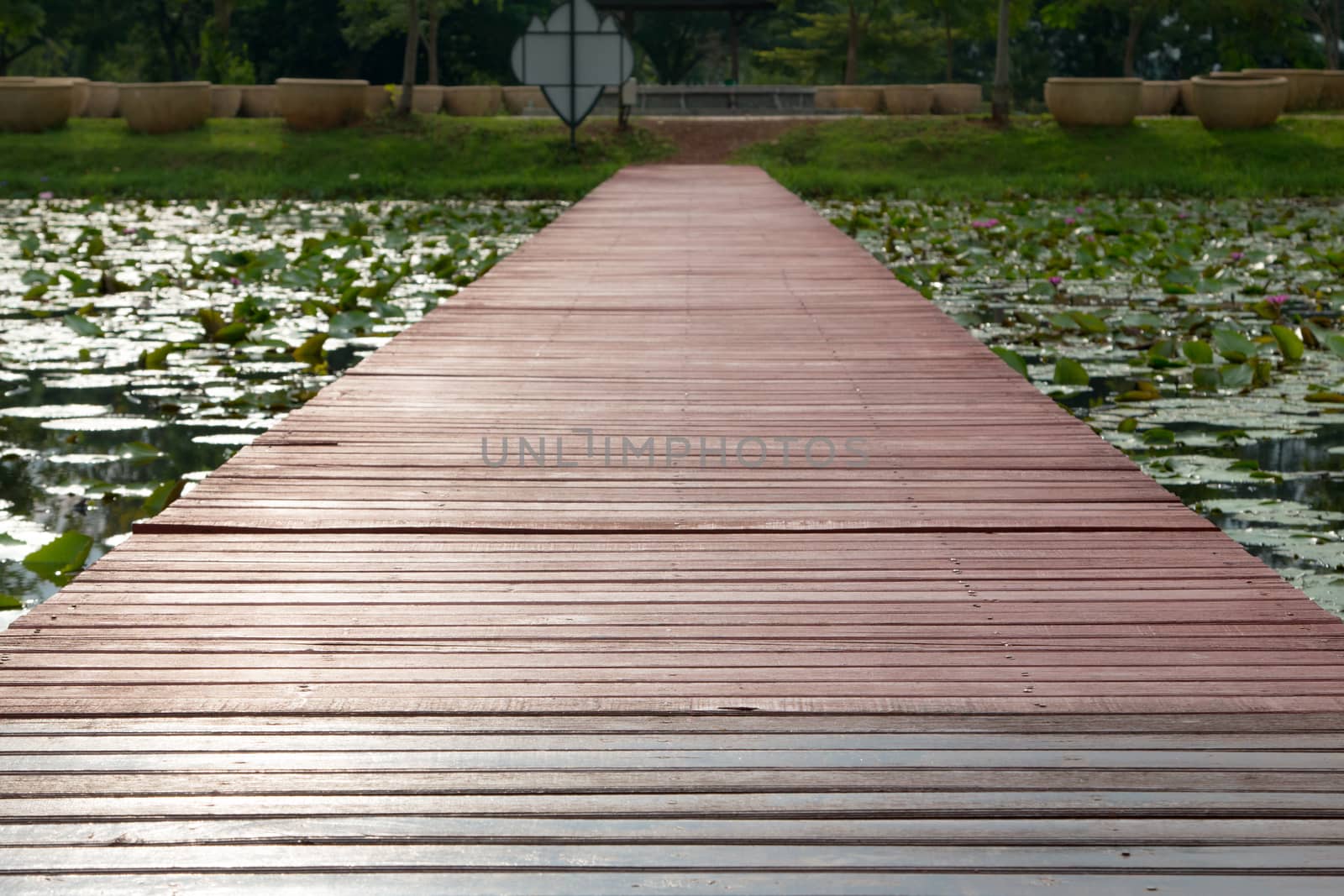 Wooden walkway over the river