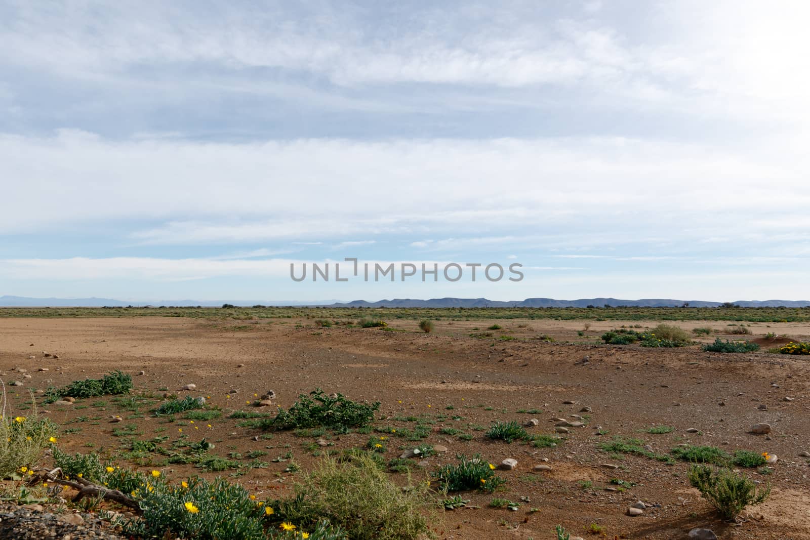 Empty Landcape with space with blue clouds in Tankwa Karoo