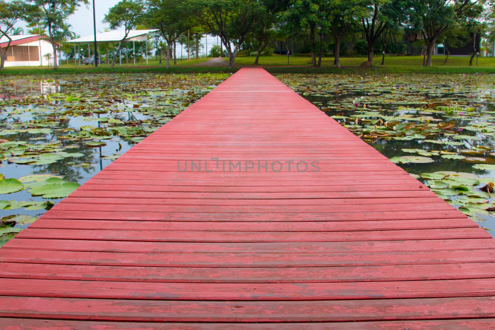 Wooden walkway over the river