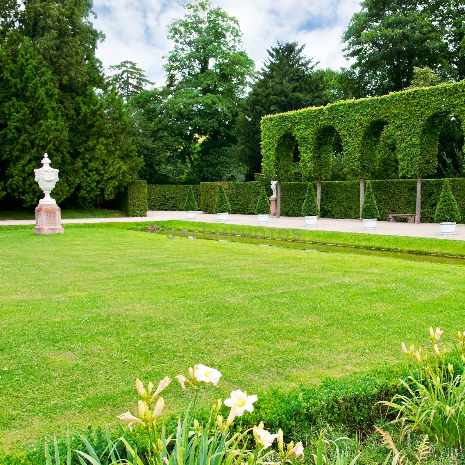 Alley lawn and hedge in a summer park