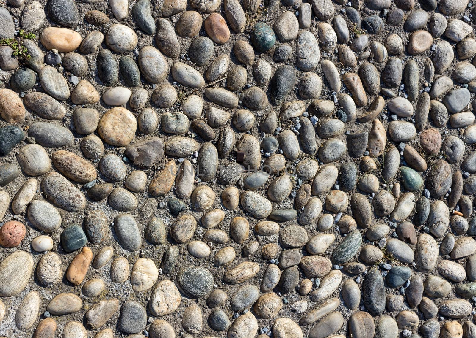 Background or texture of a cobblestone pavement