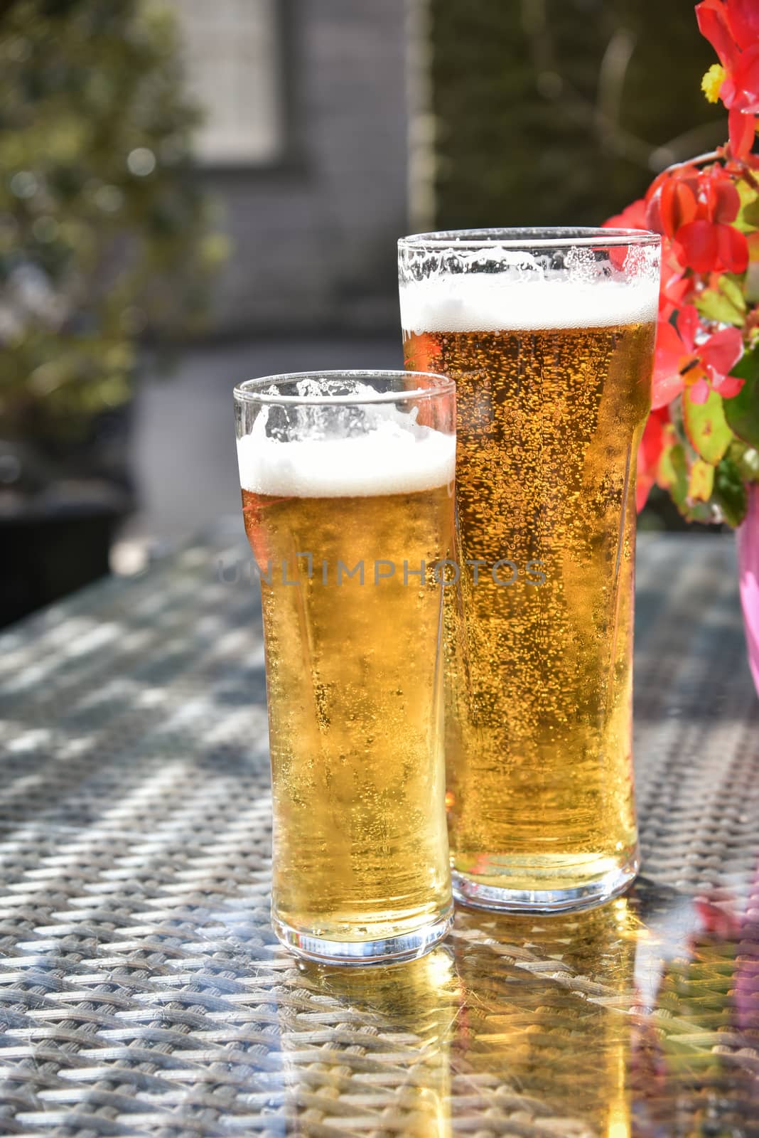 Beer in glass on glass  table against flower during sunny day