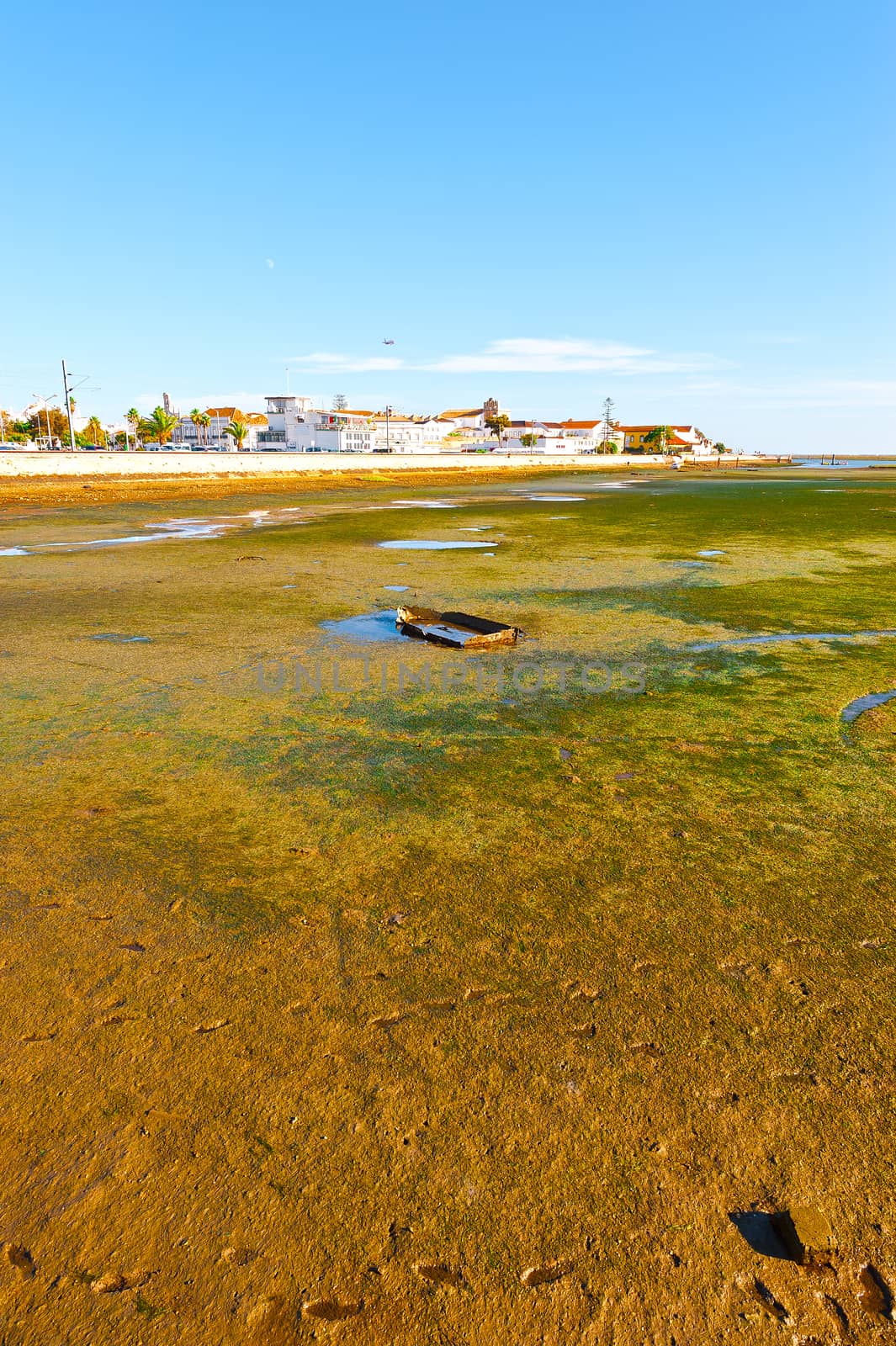 Swamp on the Shore of Atlantic Ocean in Portugal near the City of Faro 