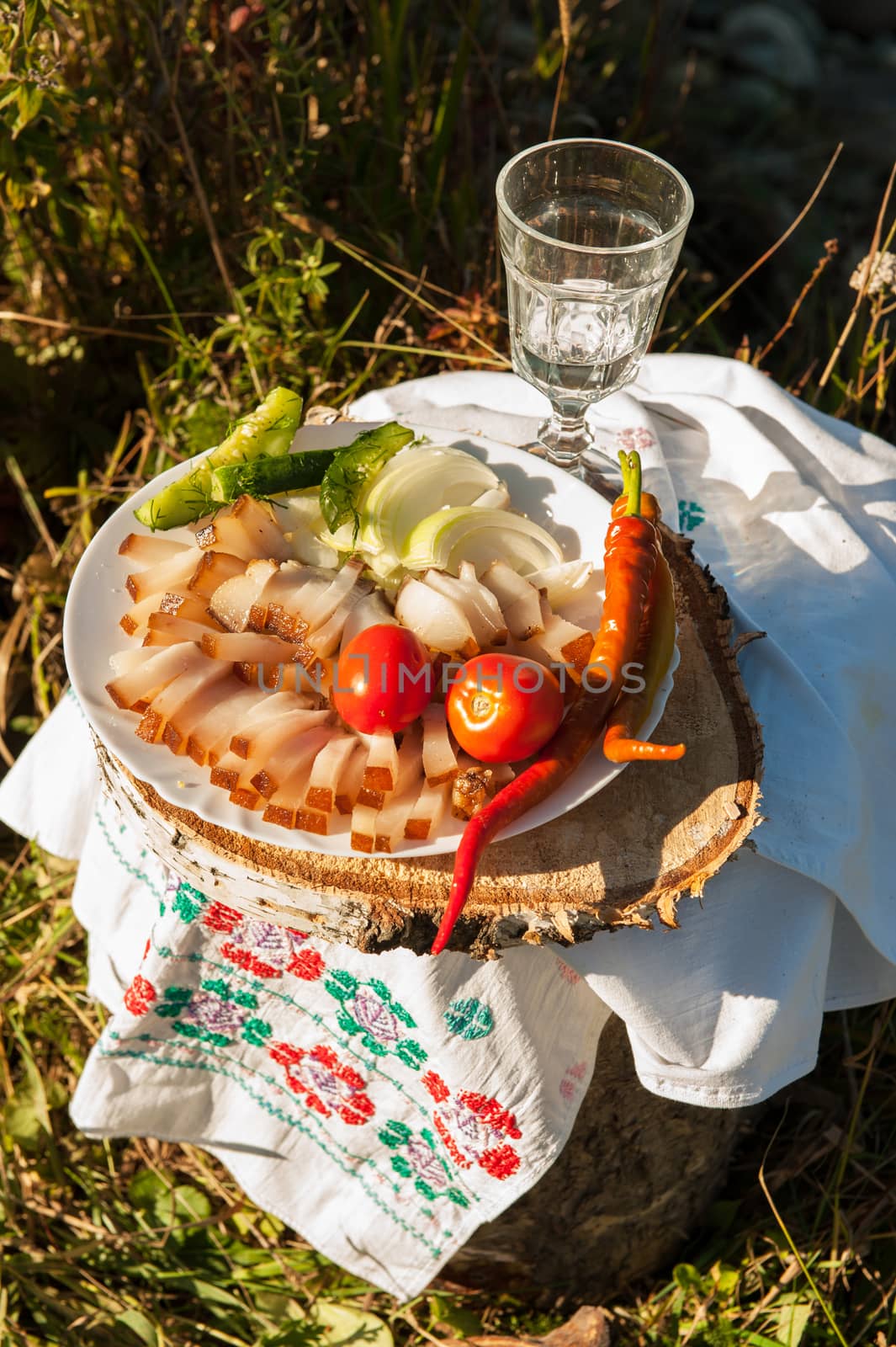 Russian vodka in small glass with snacks at outdoors