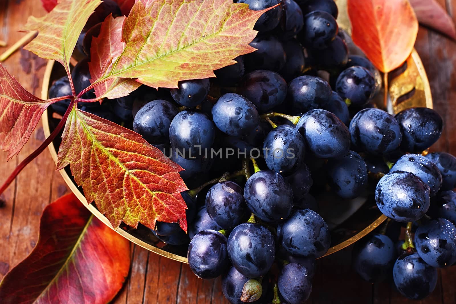 Stylish dish cluster ripe autumn grapes on the table