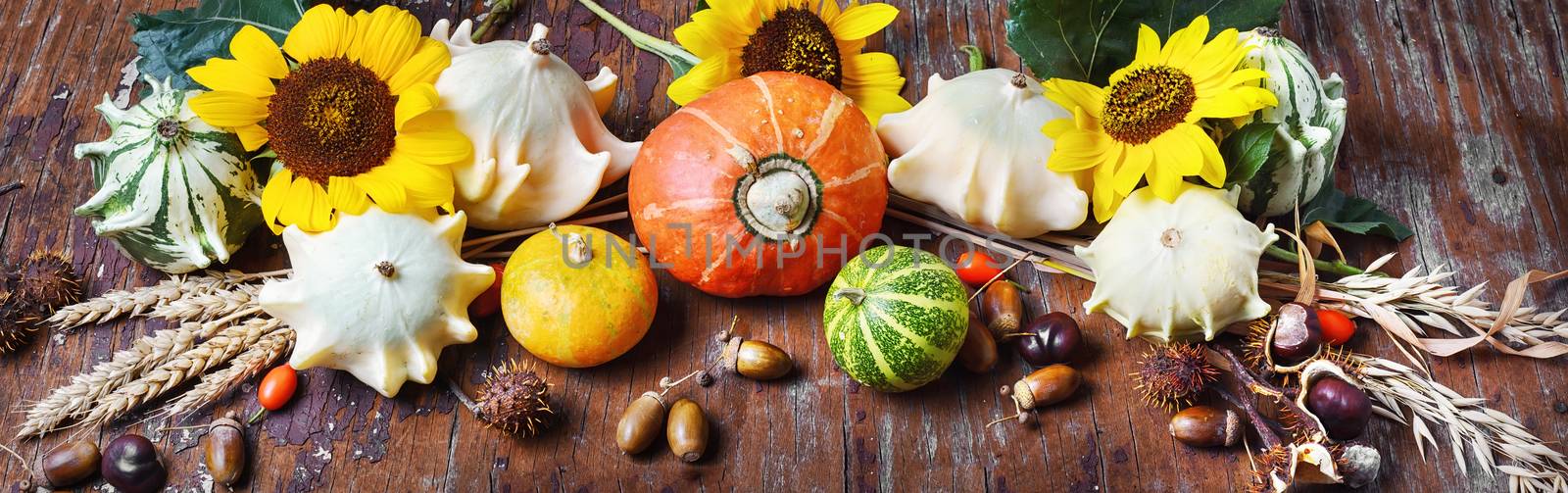 Banner with autumn with pumpkins,sunflowers,acorns and wheat
