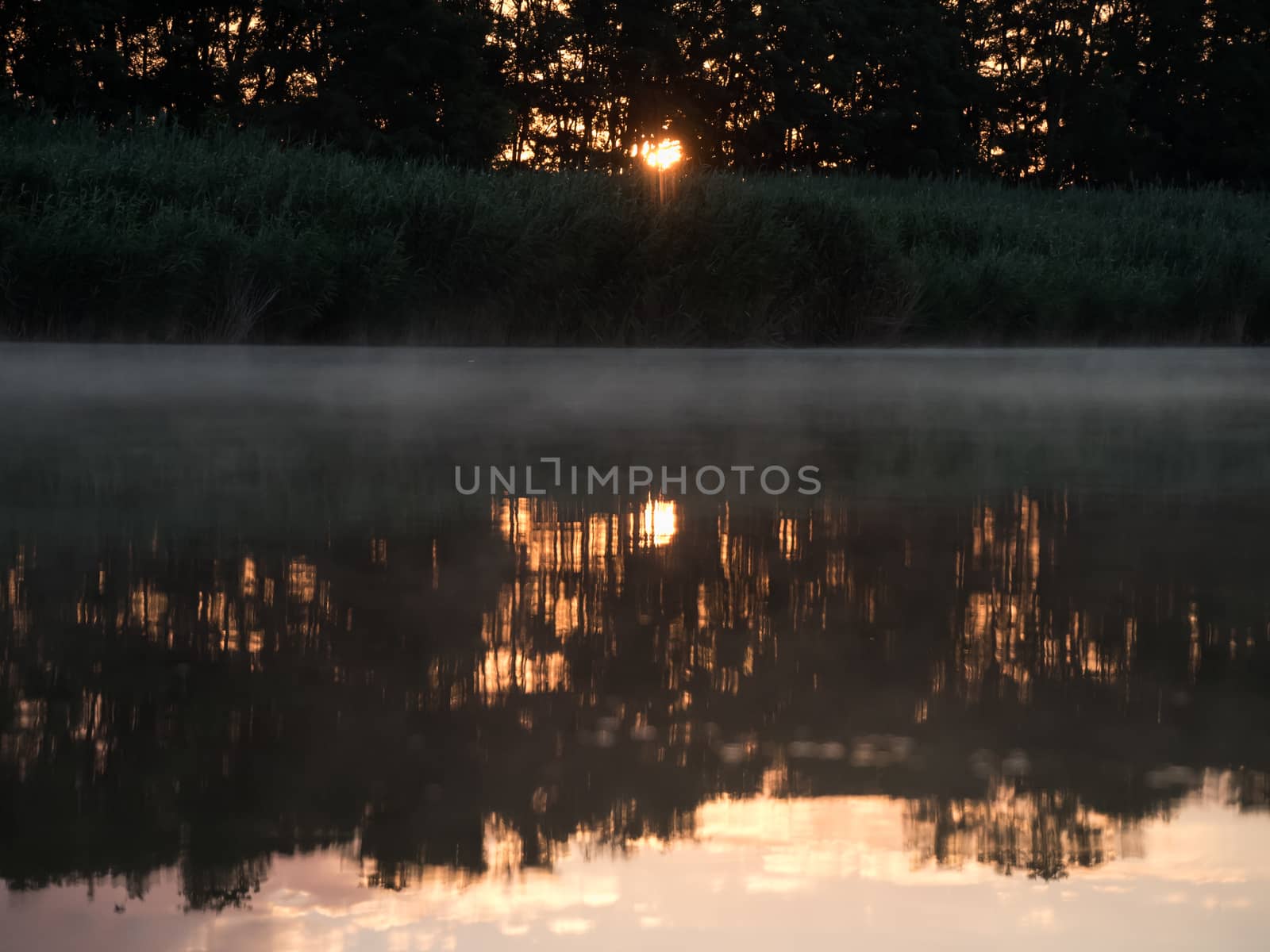 Sunrise in the river with reflex. Mirrored forest line on the river. Fantastic foggy river with fresh green grass in the sunny beams. Dramatic colorful scenery. 