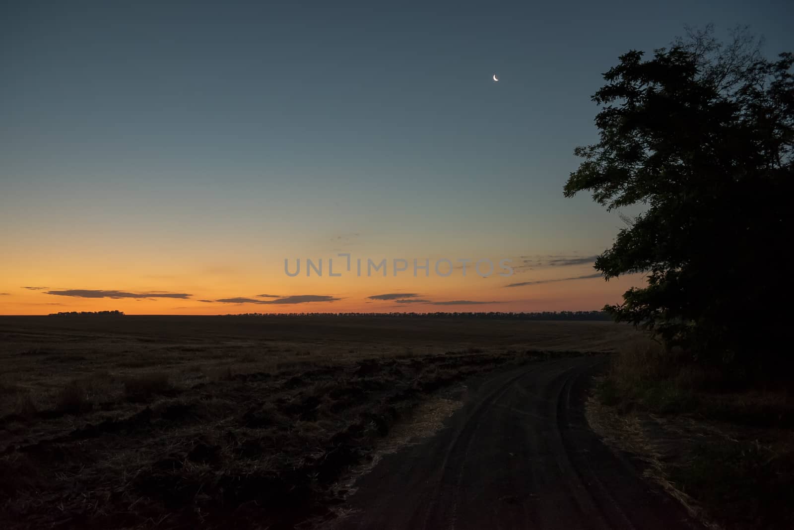 Sunrise in the field. Fantastic sunrise and moon above the field. Dramatic colorful scenery. 