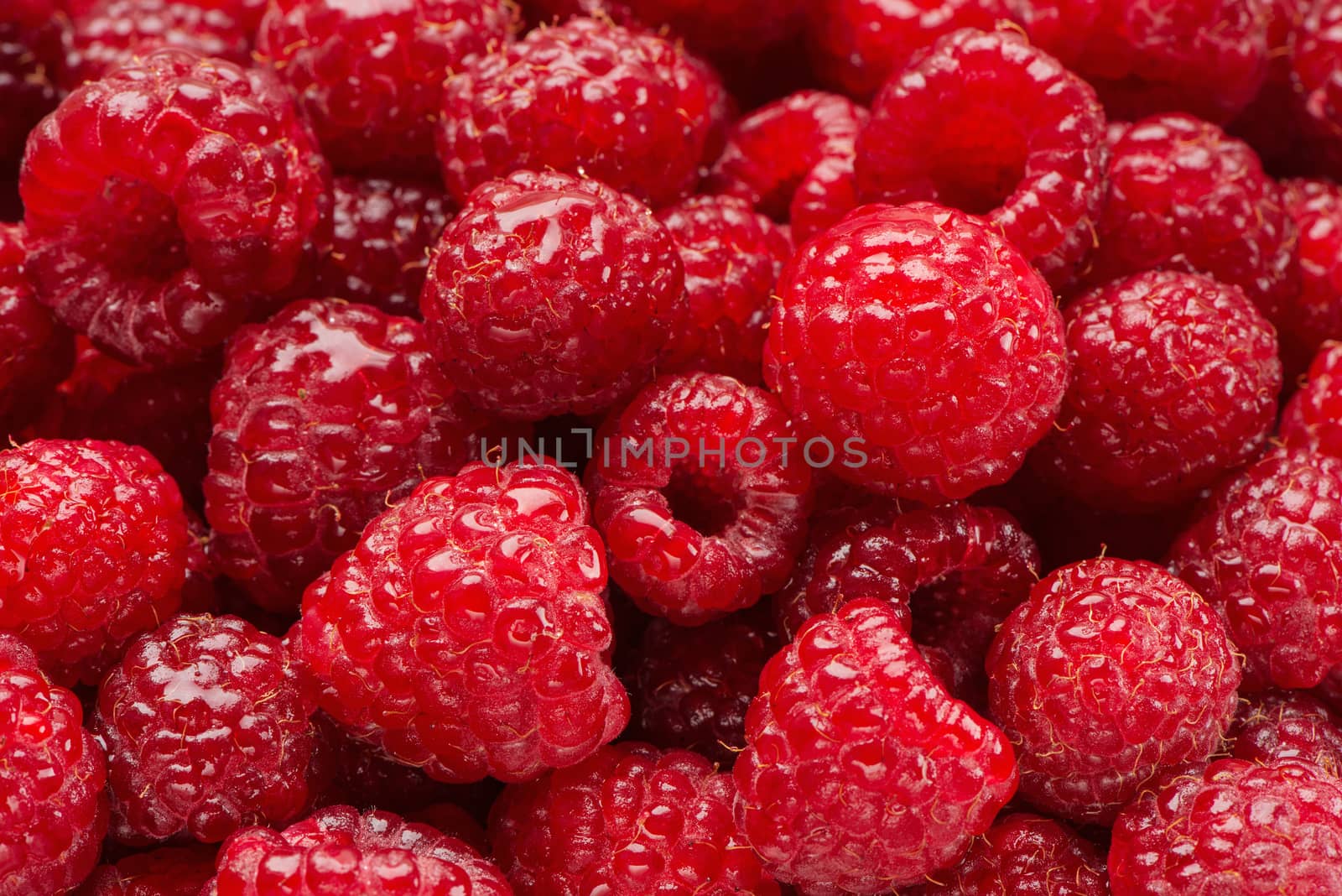 Background from damp berries of raspberry by fotooxotnik