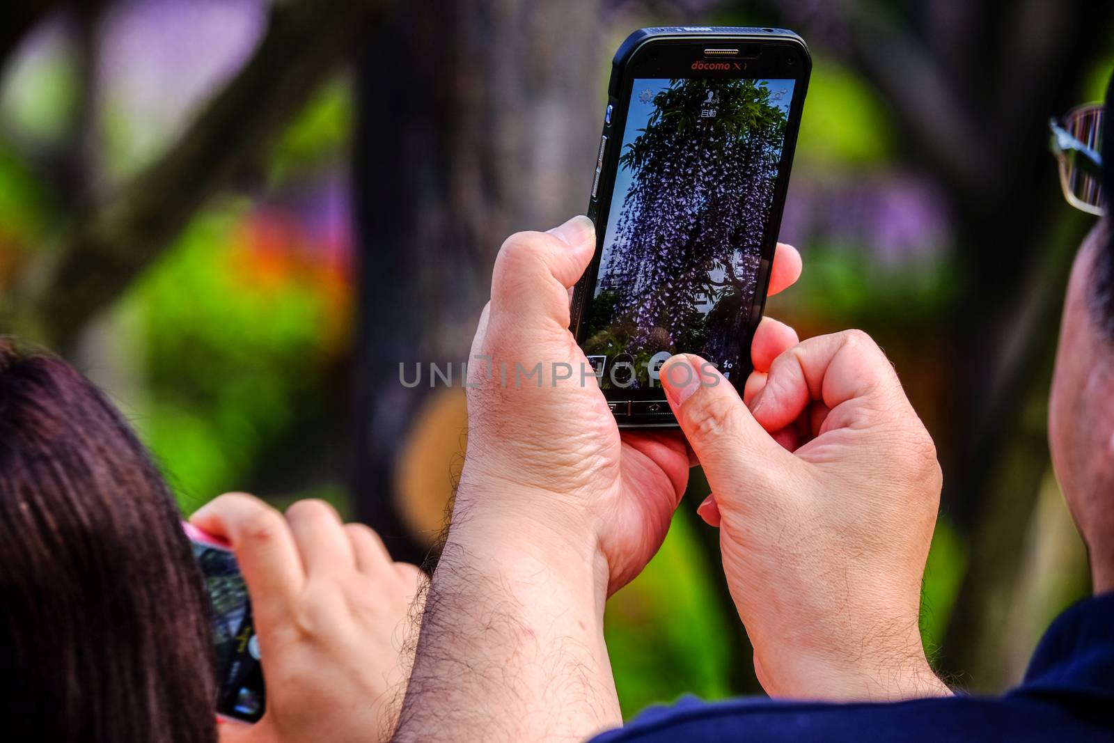 photographer and fuji flower at kameidotenjin in japan;29 April 2015