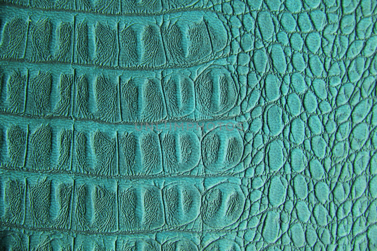 Texture leather close up