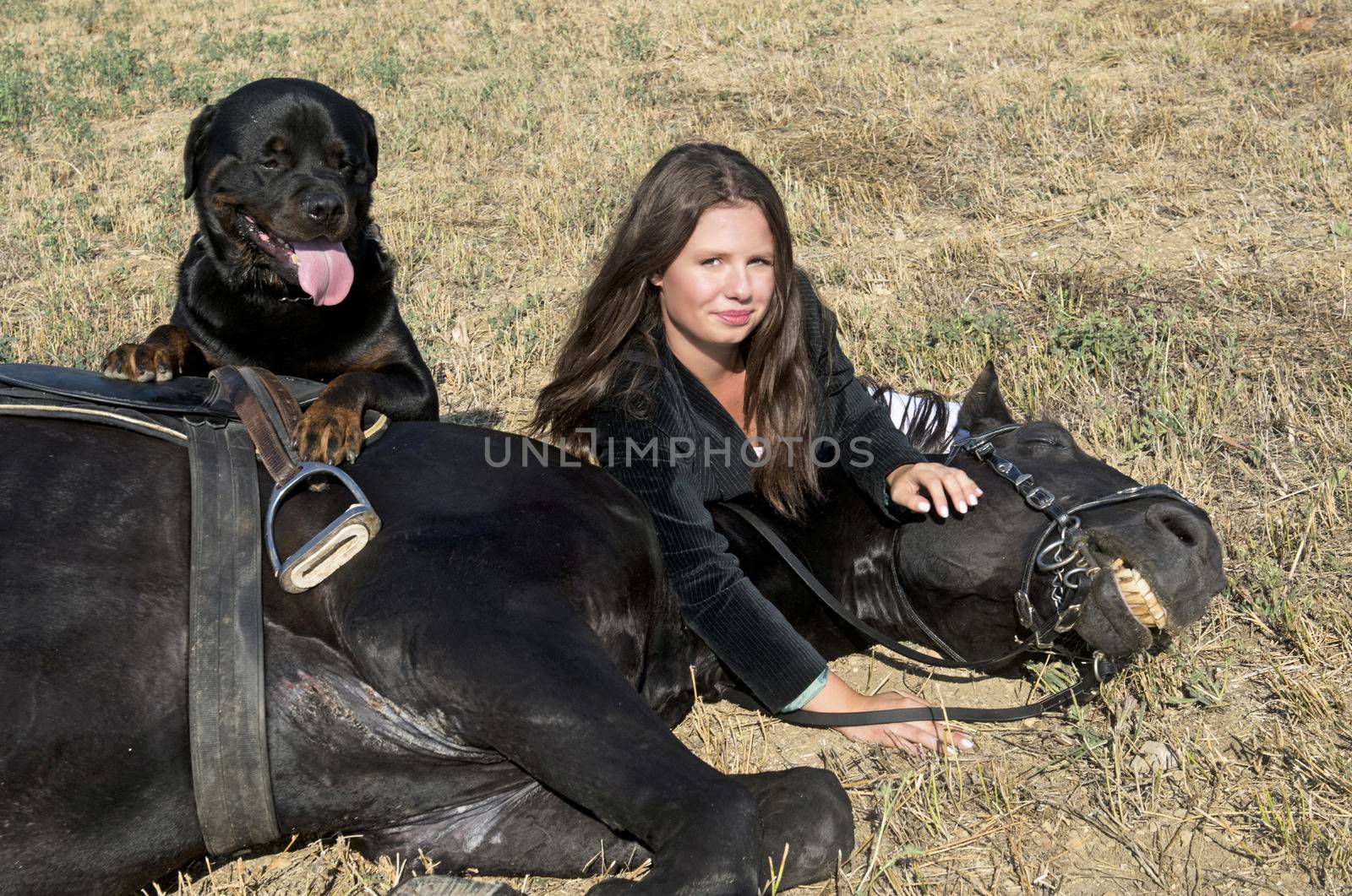 young girl riding and rottweiler, a black stallion in a field