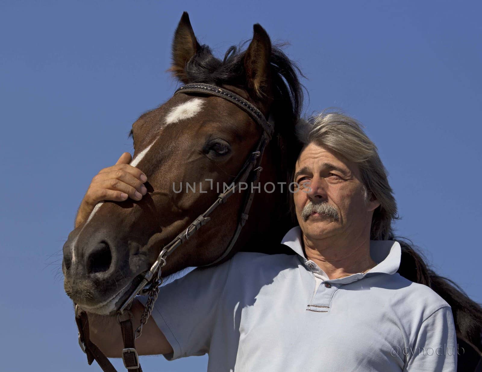 old man stroking his brown horse in nature