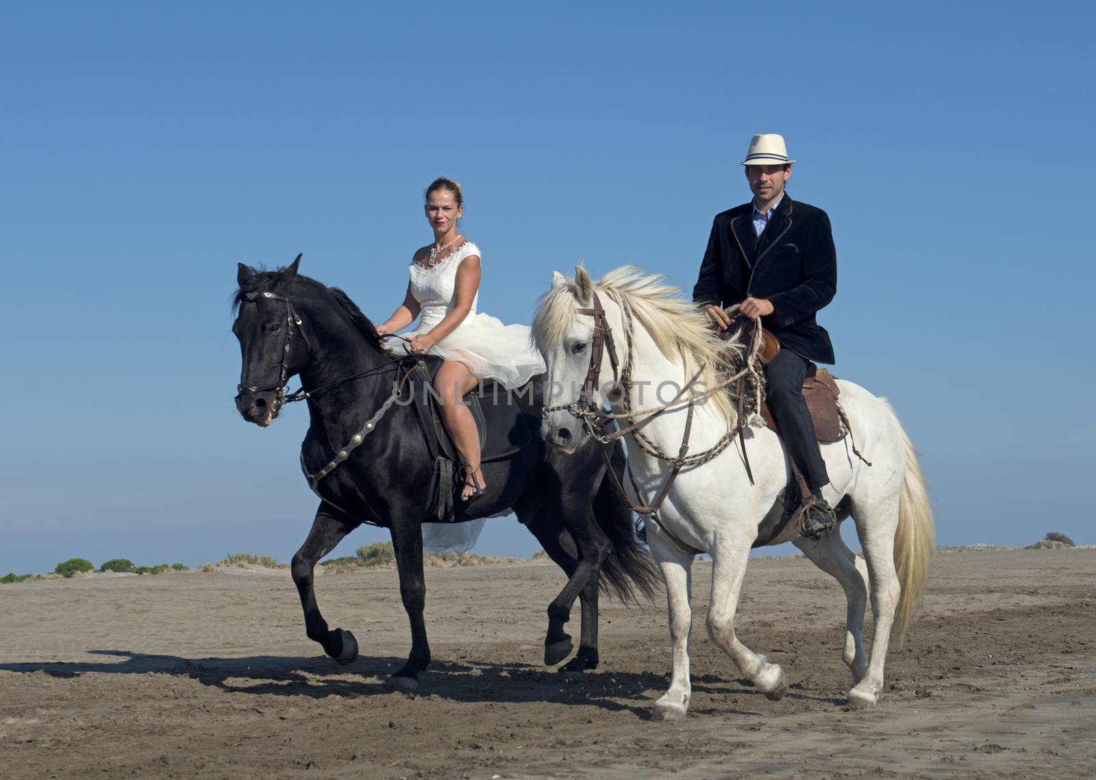 marrieds and horses on a beach in the south of France