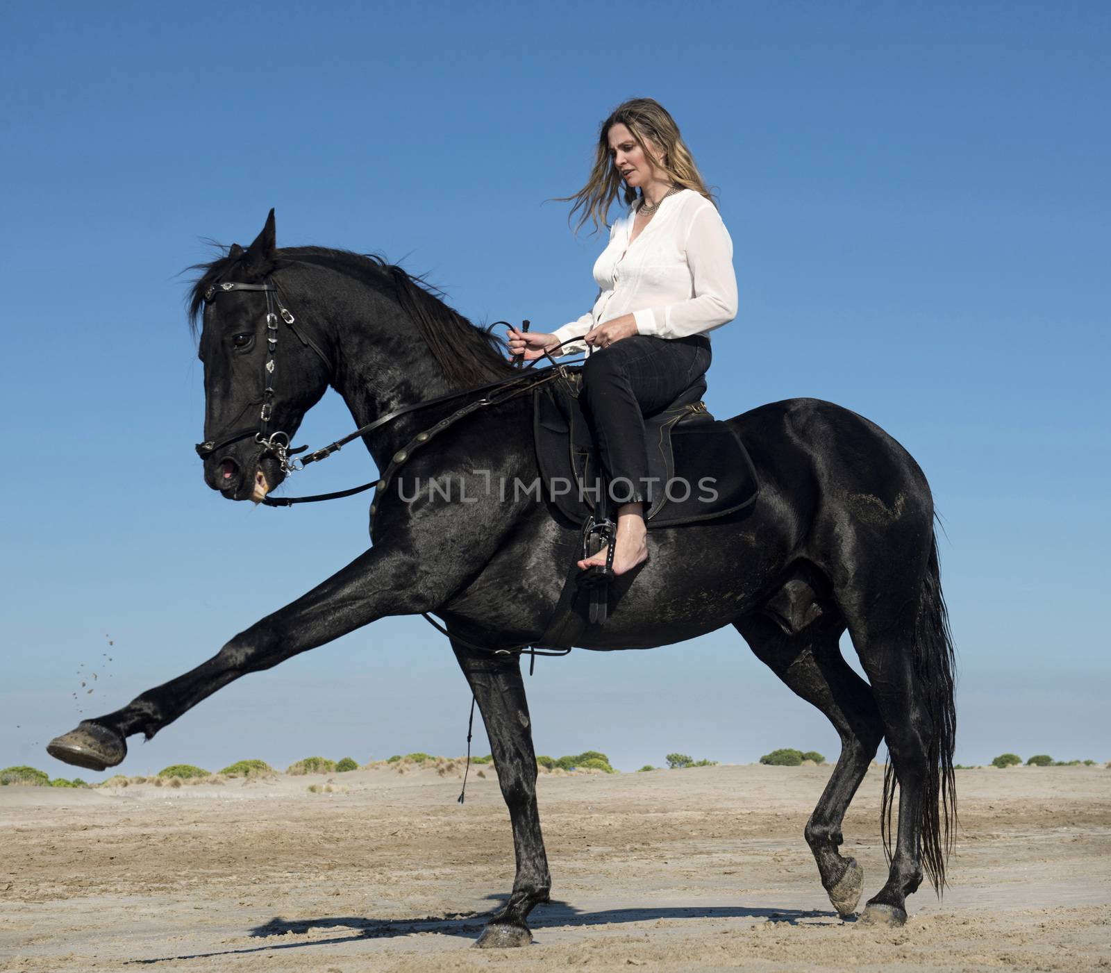 riding woman and her black stallion on the beach