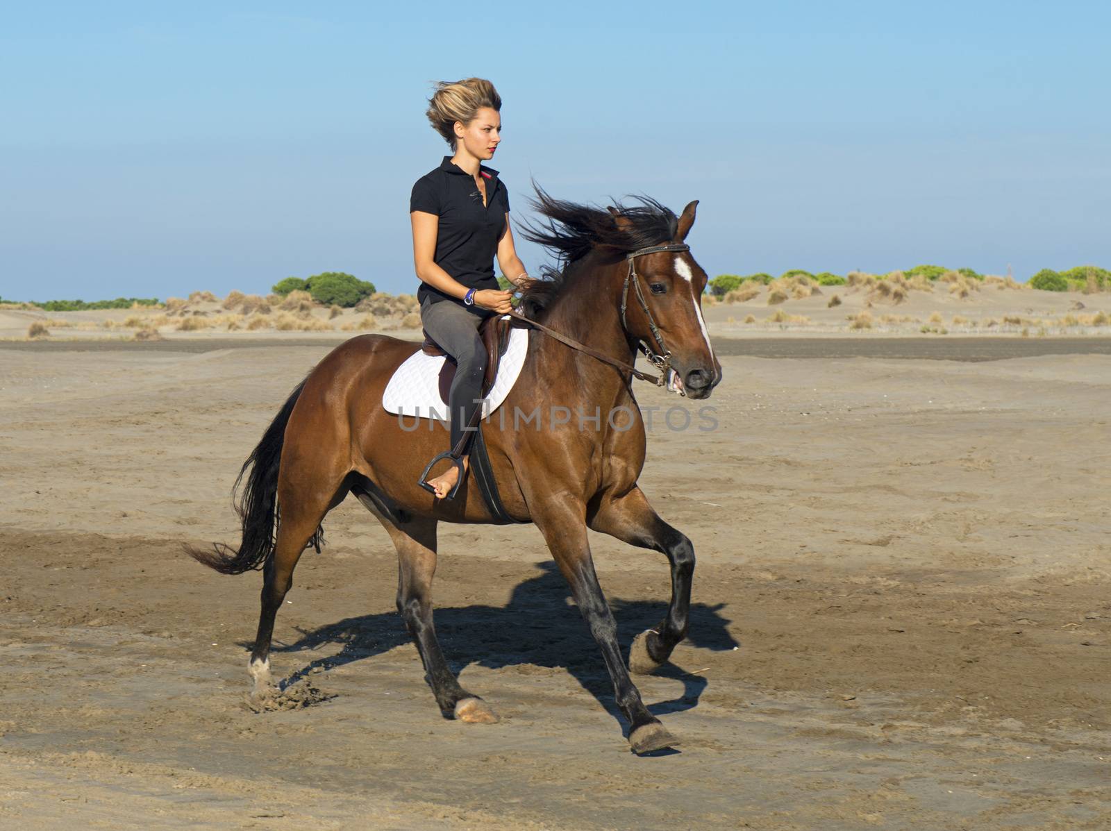 horse woman on the beach by cynoclub