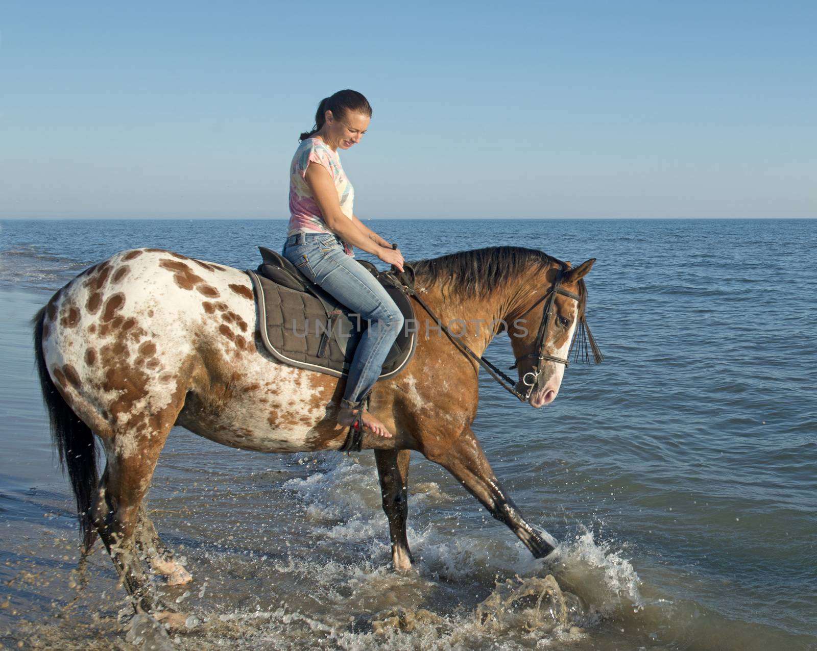 woman and appaloosa horse playing in the sea