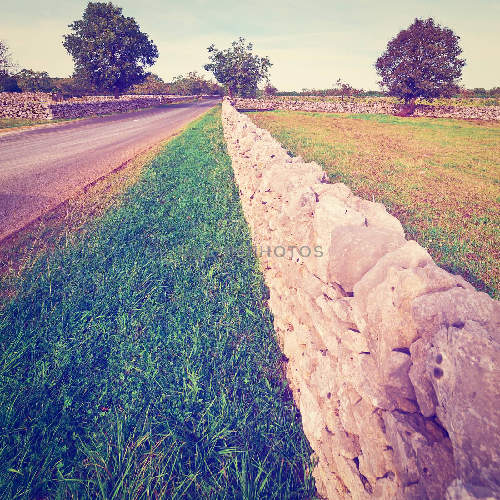 Stone Wall by gkuna